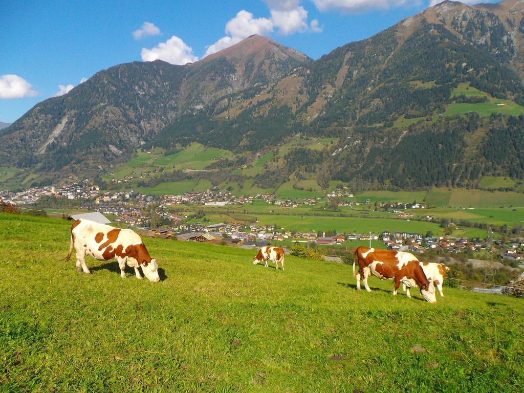 Biobauernhof Aslgut Bad Hofgastein Exterior foto